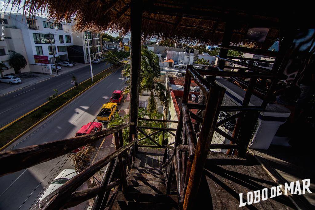 Lobo De Mar Hostel Playa del Carmen Extérieur photo